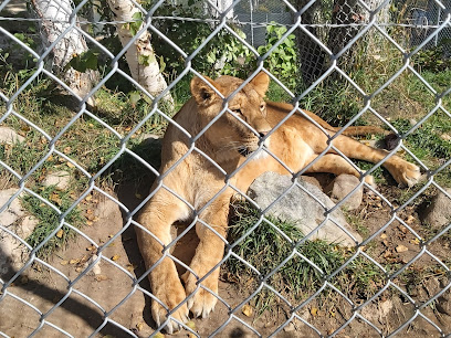 Zoo Falardeau - Le Fjord-du-Saguenay Regional County Municipality 1 AC9h4nqXc227QW 7T8 d UeIsEw NGDVmyWGcC4GfqevsOxIDZIAGuAvoLNr ykJuKqVCRtckJNTs5XE GwyQlE7lr ss4IYSK8axqwHVUidnI17UEbuW7ZnY4geVOXTI40wwVcq0bUw408 h306 k no