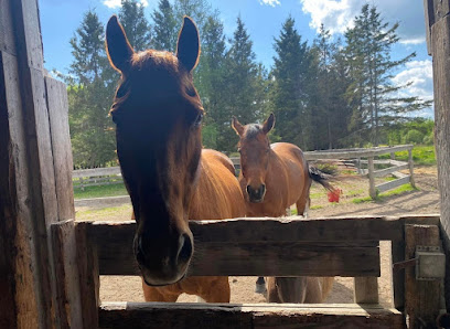 Rifflyn Acres - Chelmsford 1 AF1QipPJnyDMxebPQGpGRTnETuRZucPJR89gmGtSNiZ5w408 h298 k no